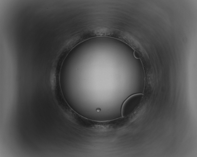 X0000100920690200806241344