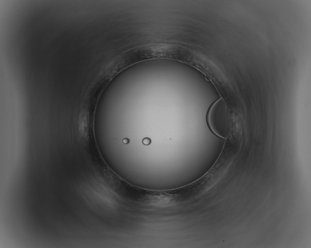 X0000100920698200806241344