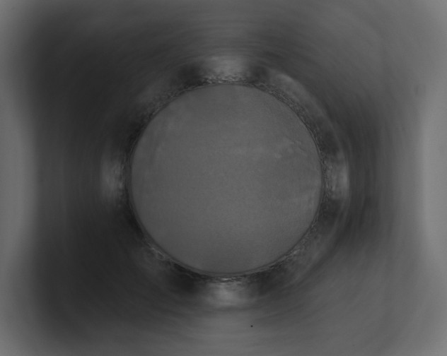 X0000100920701200806241344
