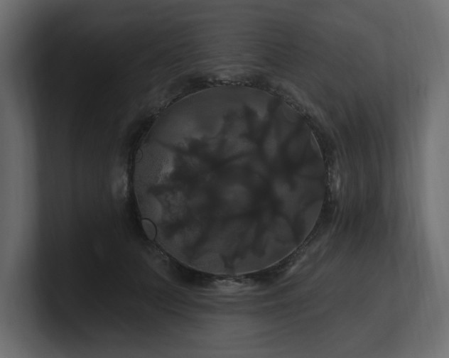X0000100920703200806241344