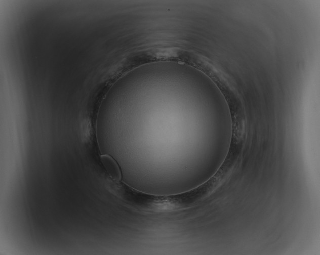 X0000100920704200806241344