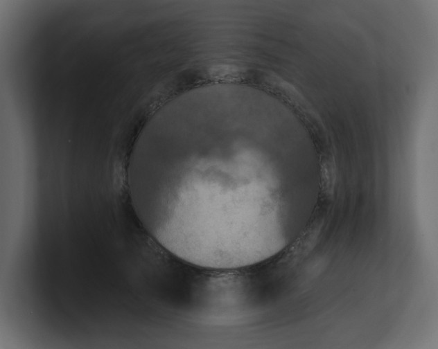 X0000100920705200806241344
