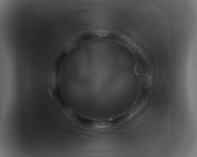 X0000100920707200806241344