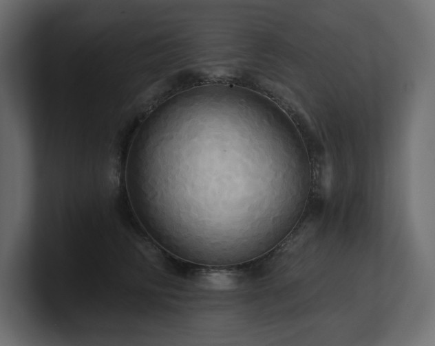 X0000100920710200806241344