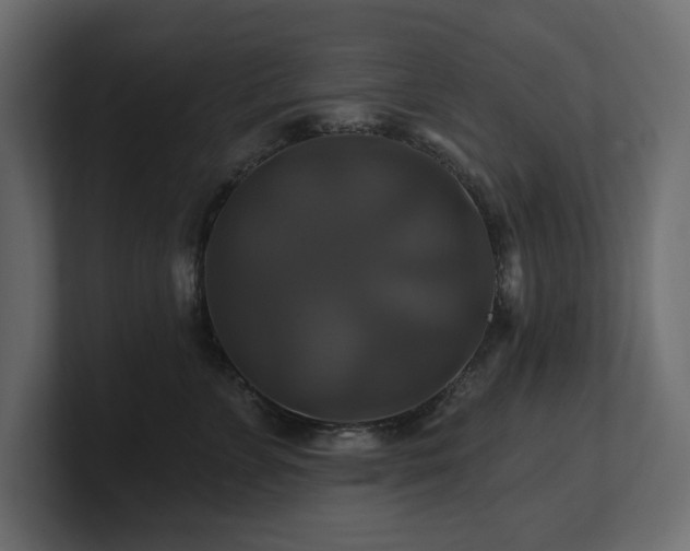 X0000100920715200806241344