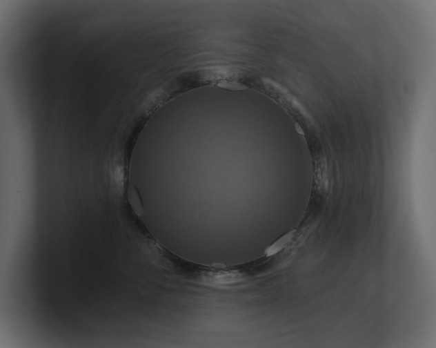 X0000100920716200806241344