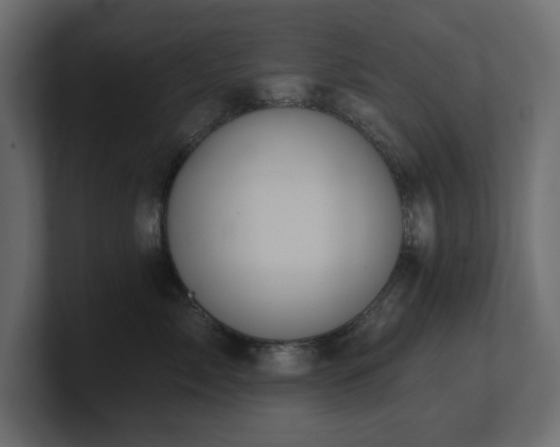 X0000100920717200806241344