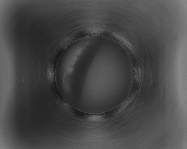 X0000100920718200806241344