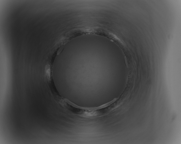 X0000100920720200806241344