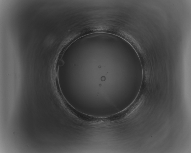 X0000100920721200806241343
