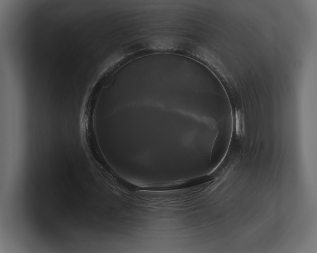 X0000100920723200806241343