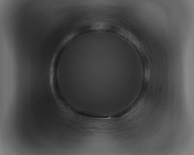 X0000100920724200806241343