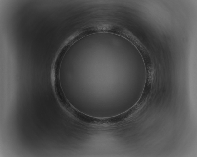 X0000100920726200806241343