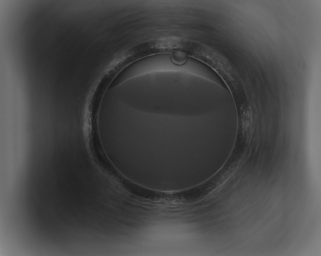 X0000100920727200806241343