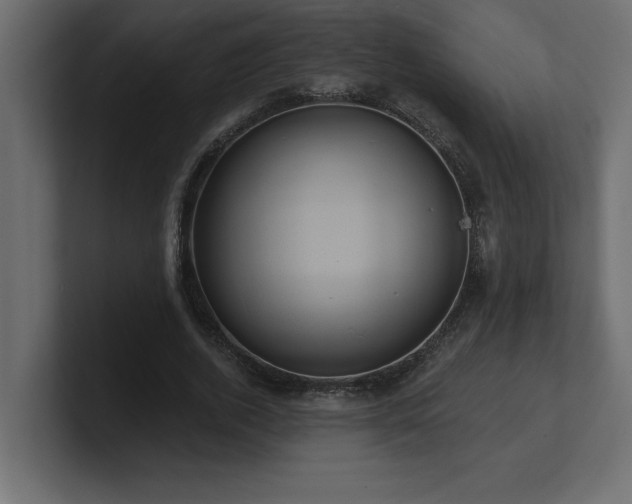 X0000100920728200806241343