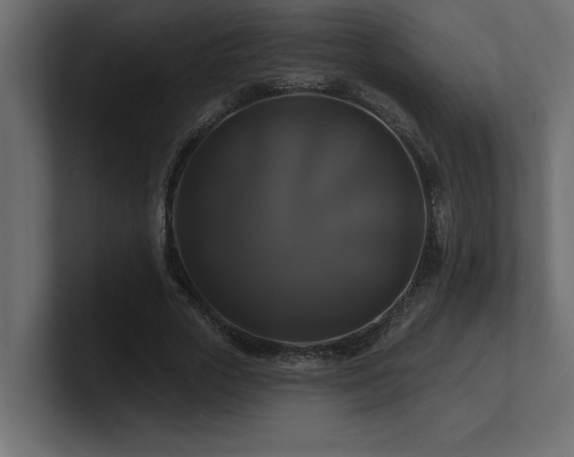 X0000100920729200806241343