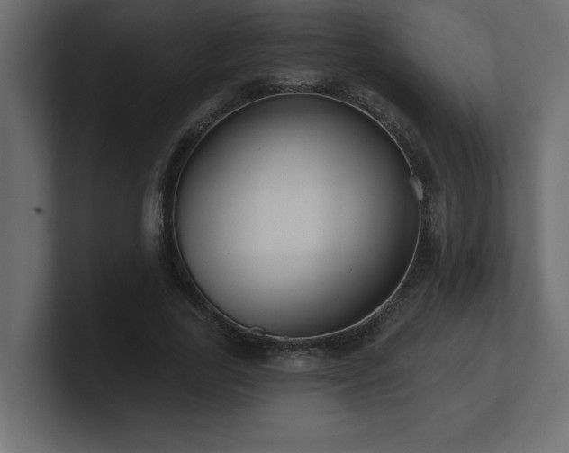 X0000100920731200806241344