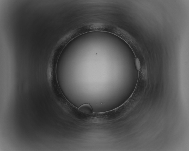 X0000100920732200806241344