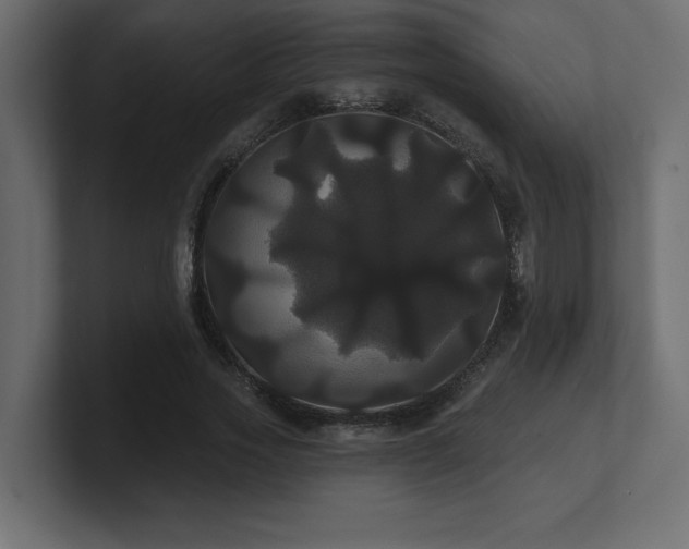 X0000100920733200806241344