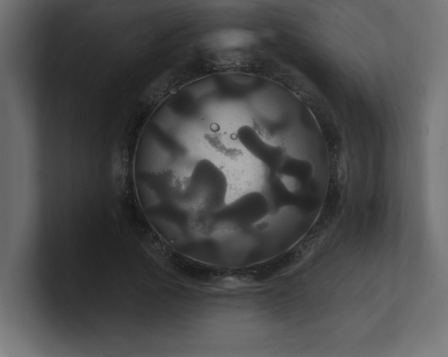 X0000100920737200806241344