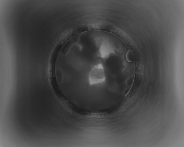 X0000100920738200806241344