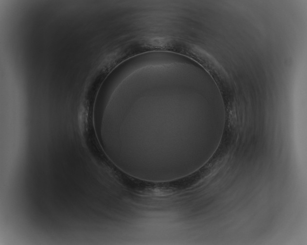 X0000100920739200806241344