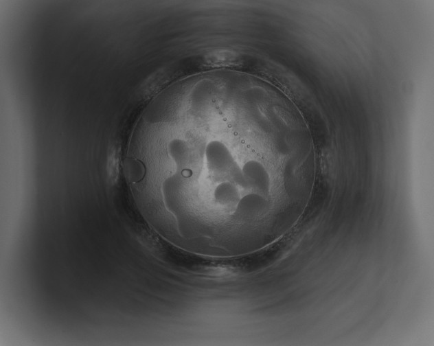 X0000100920741200806241344