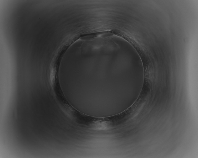 X0000100920742200806241344