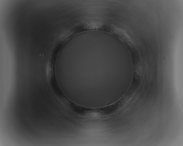 X0000100920743200806241344