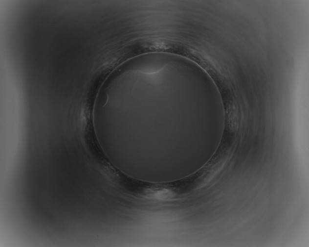 X0000100920747200806241344