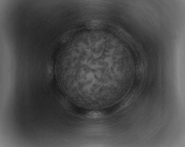 X0000100920749200806241344