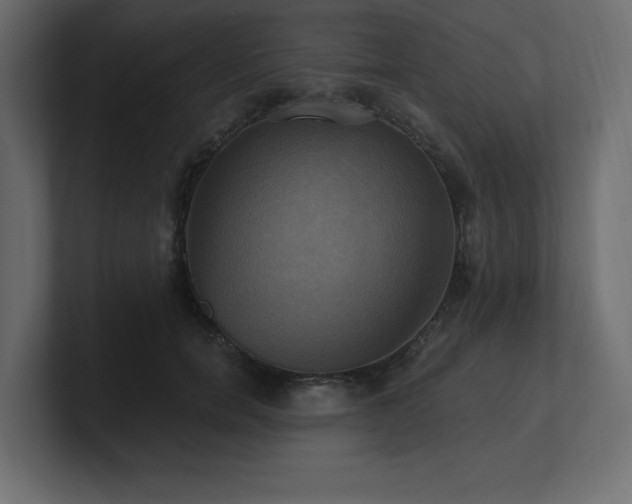 X0000100920750200806241344