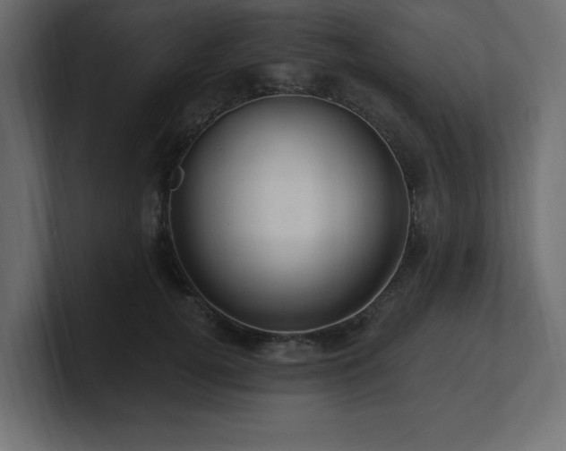 X0000100920752200806241344