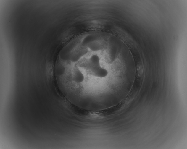 X0000100920753200806241344