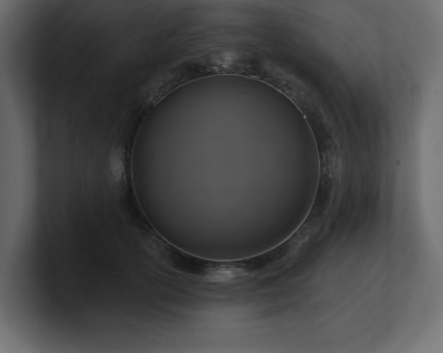 X0000100920754200806241344