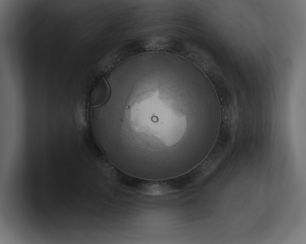 X0000100920755200806241344