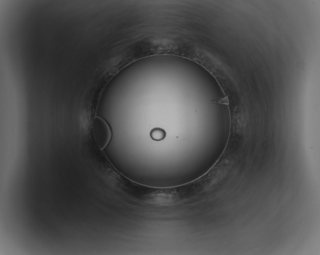 X0000100920756200806241344