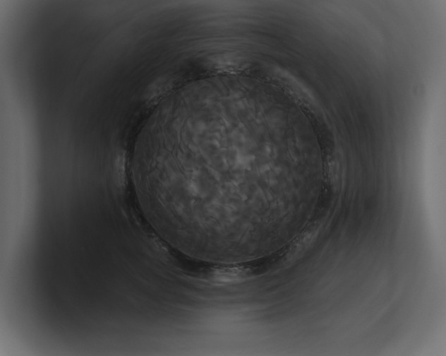 X0000100920757200806241344