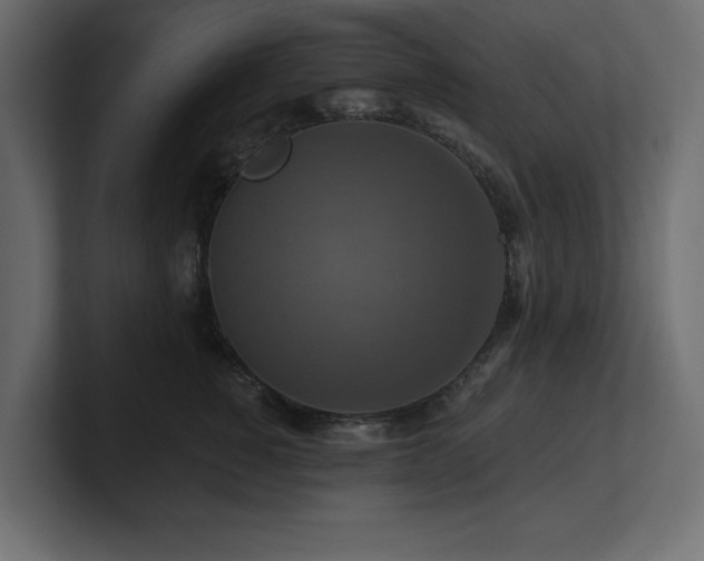 X0000100920760200806241344