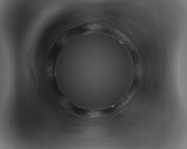 X0000100920762200806241344