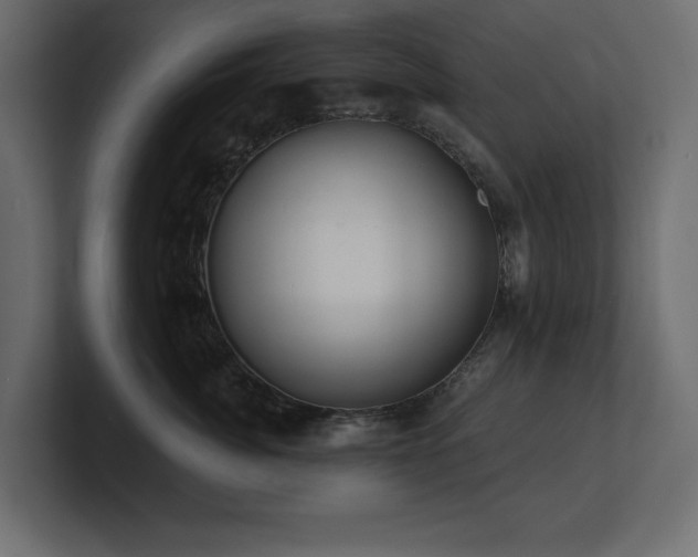 X0000100920764200806241344