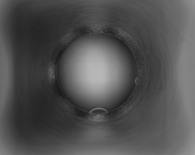 X0000100920768200806241344