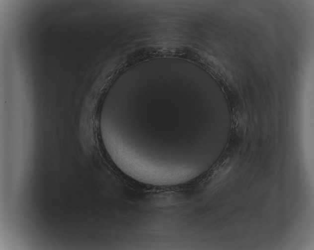 X0000100920769200806241343