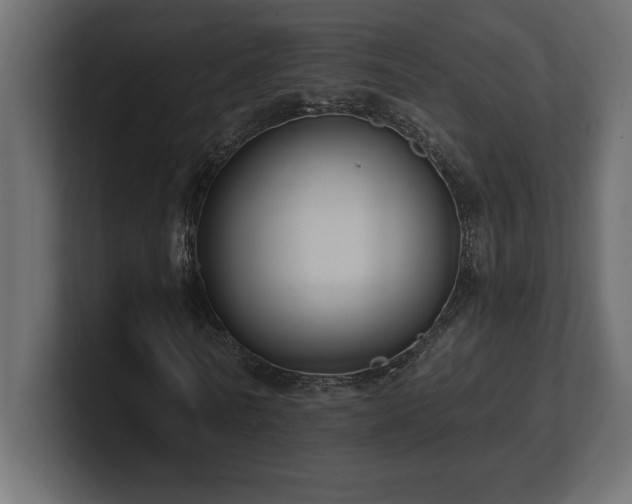 X0000100920770200806241343