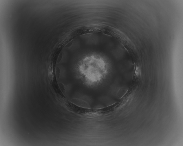 X0000100920771200806241343
