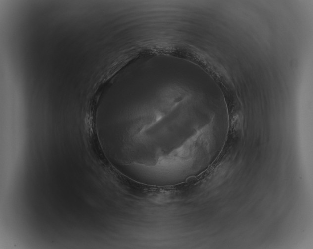 X0000100920772200806241343