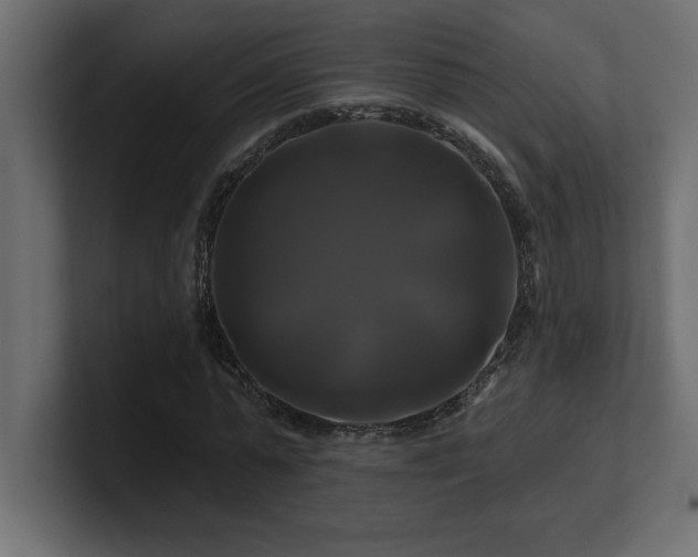 X0000100920775200806241343