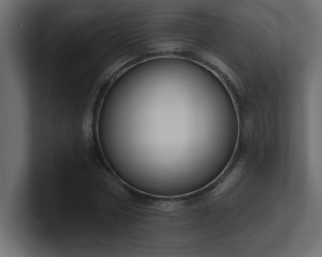 X0000100920778200806241343