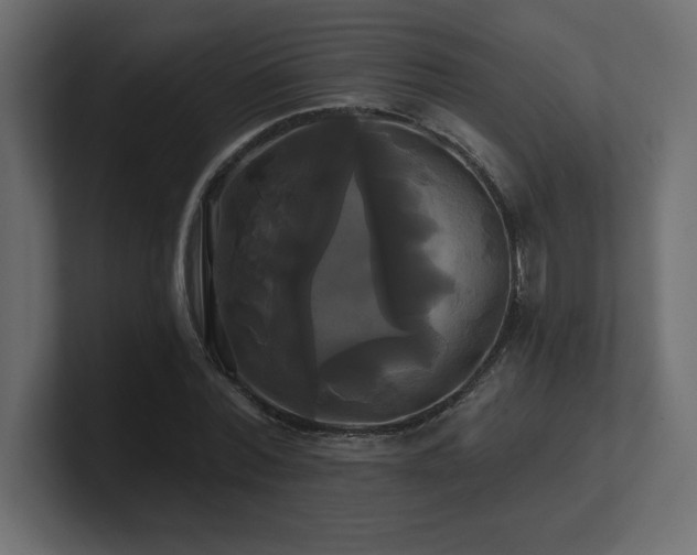 X0000100920780200806241343