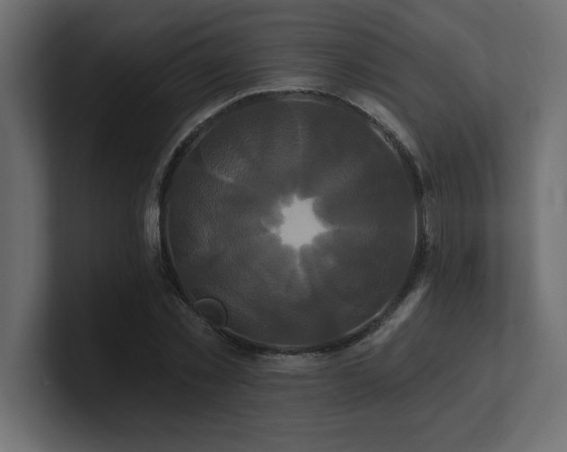 X0000100920781200806241343